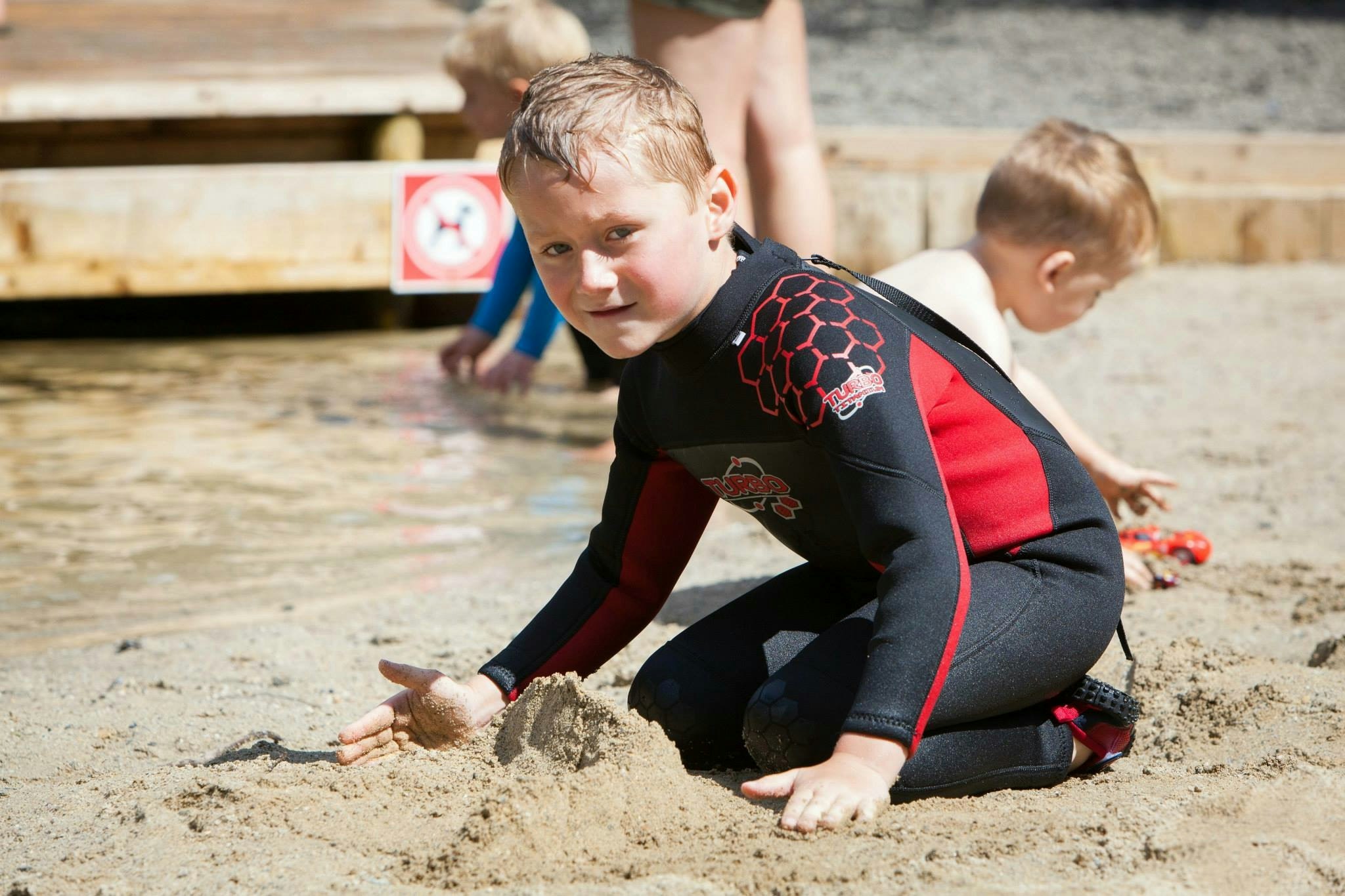 River Dart Country Park
