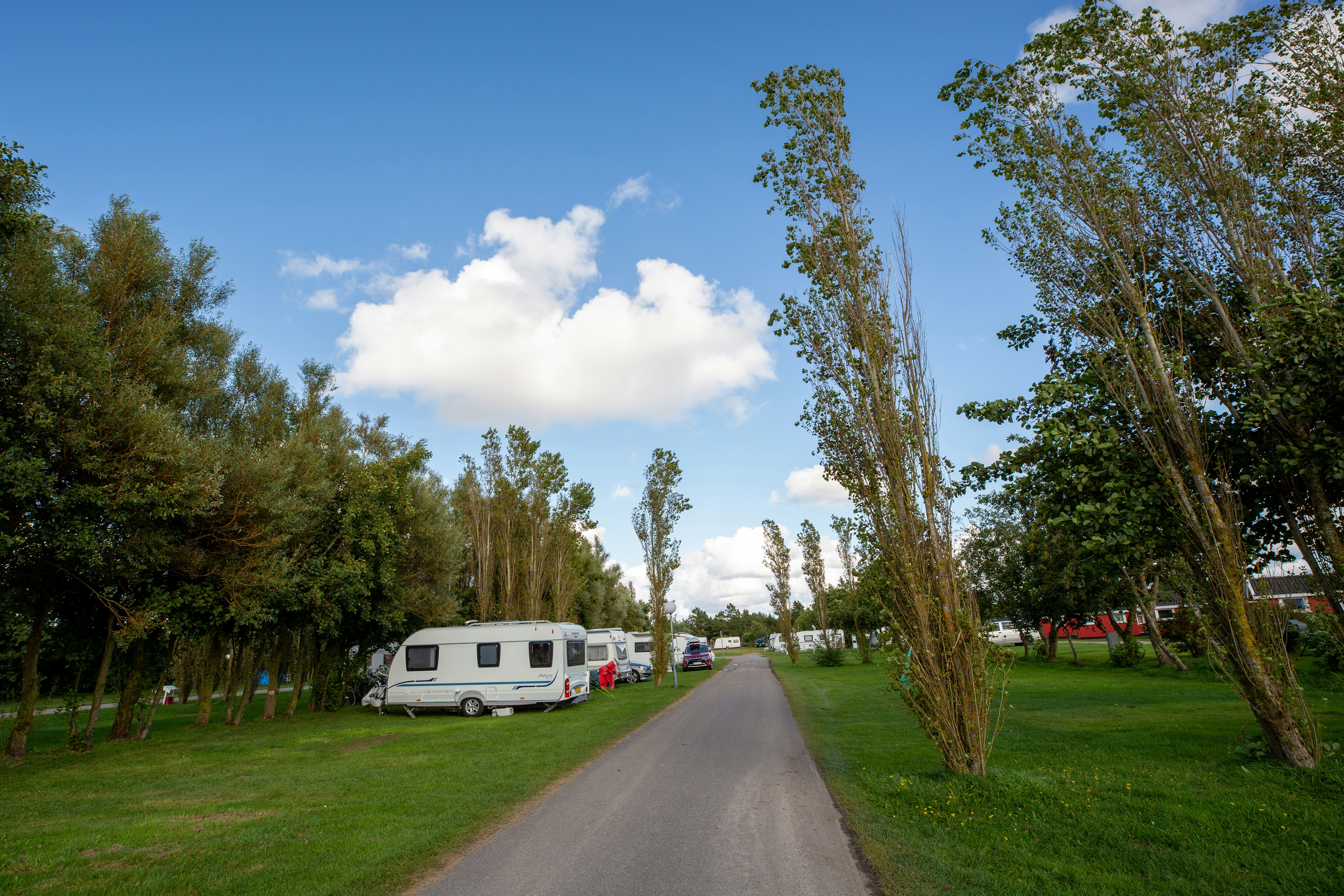 Rømø Familie Camping - Standplatz