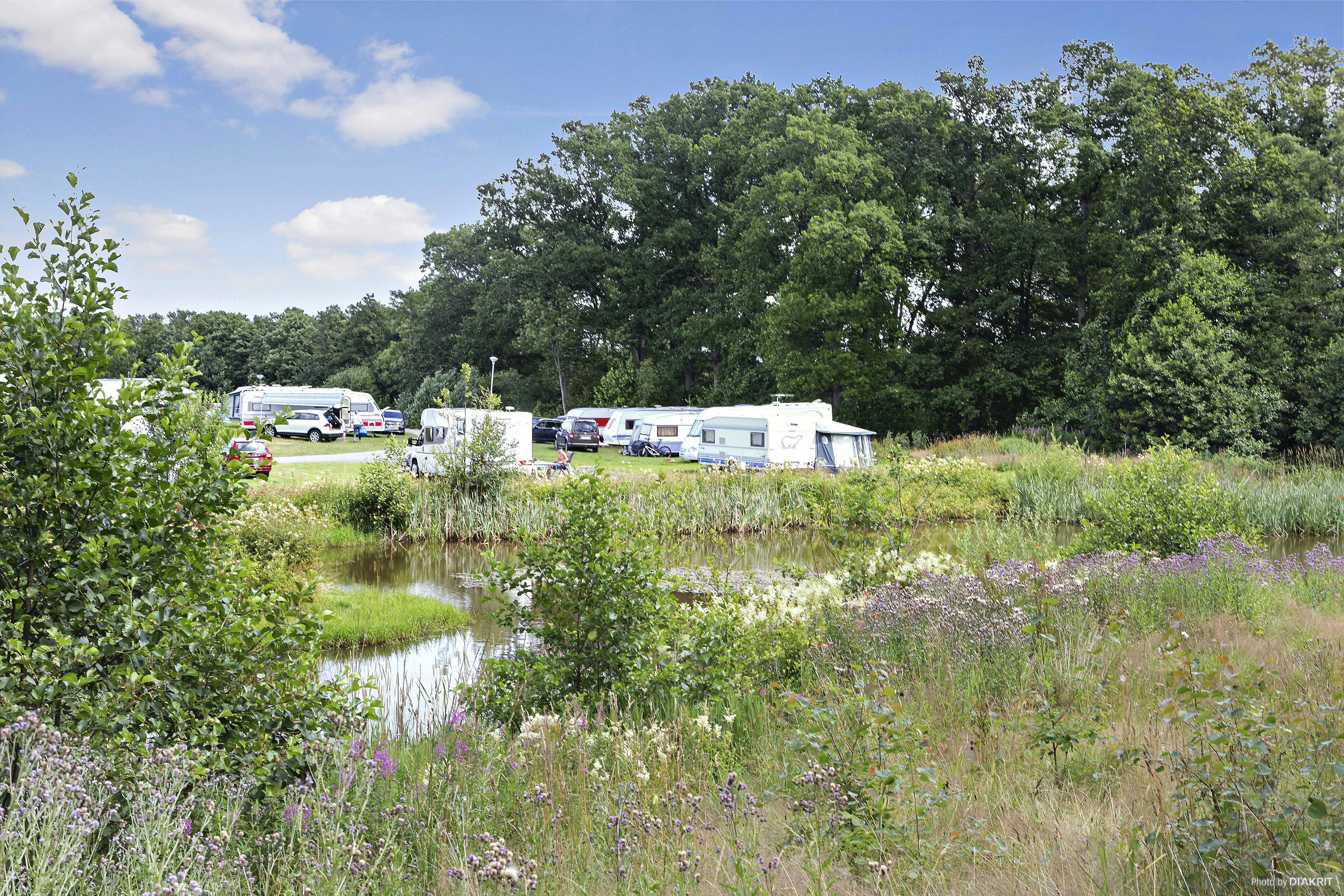 First Camp Röstånga-Söderåsen - Blick auf die Stellplätze auf der Wiese