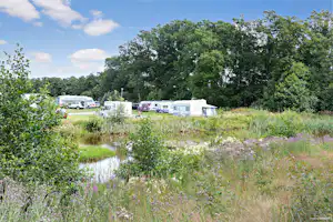 First Camp Röstånga-Söderåsen - Blick auf die Stellplätze auf der Wiese