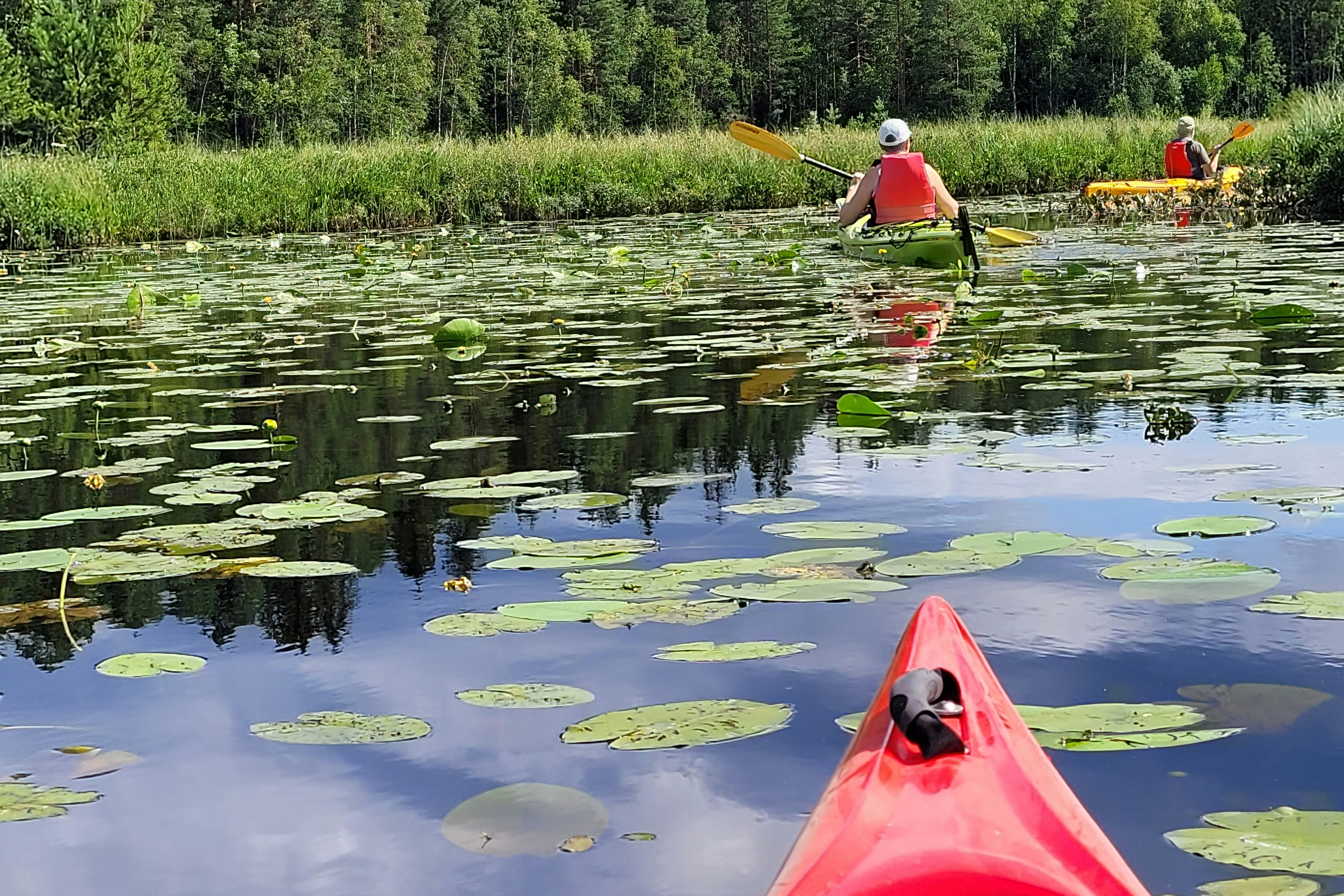 Rokosjøen Camping - Kanu- und Ruderbootverleih auf dem Campingplatz