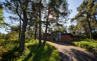 Roligheden Camping