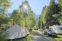 Romantik Camping Schloß Fernsteinsee  -  Wohnwagen- und Zeltstellplatz zwischen Bäumen auf dem Campingplatz
