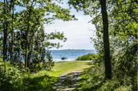 Ronneby Havscamping - Spazierwege zum See in der grünen Natur