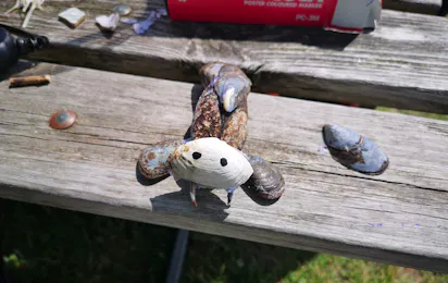 Ronæs Strand Camping
