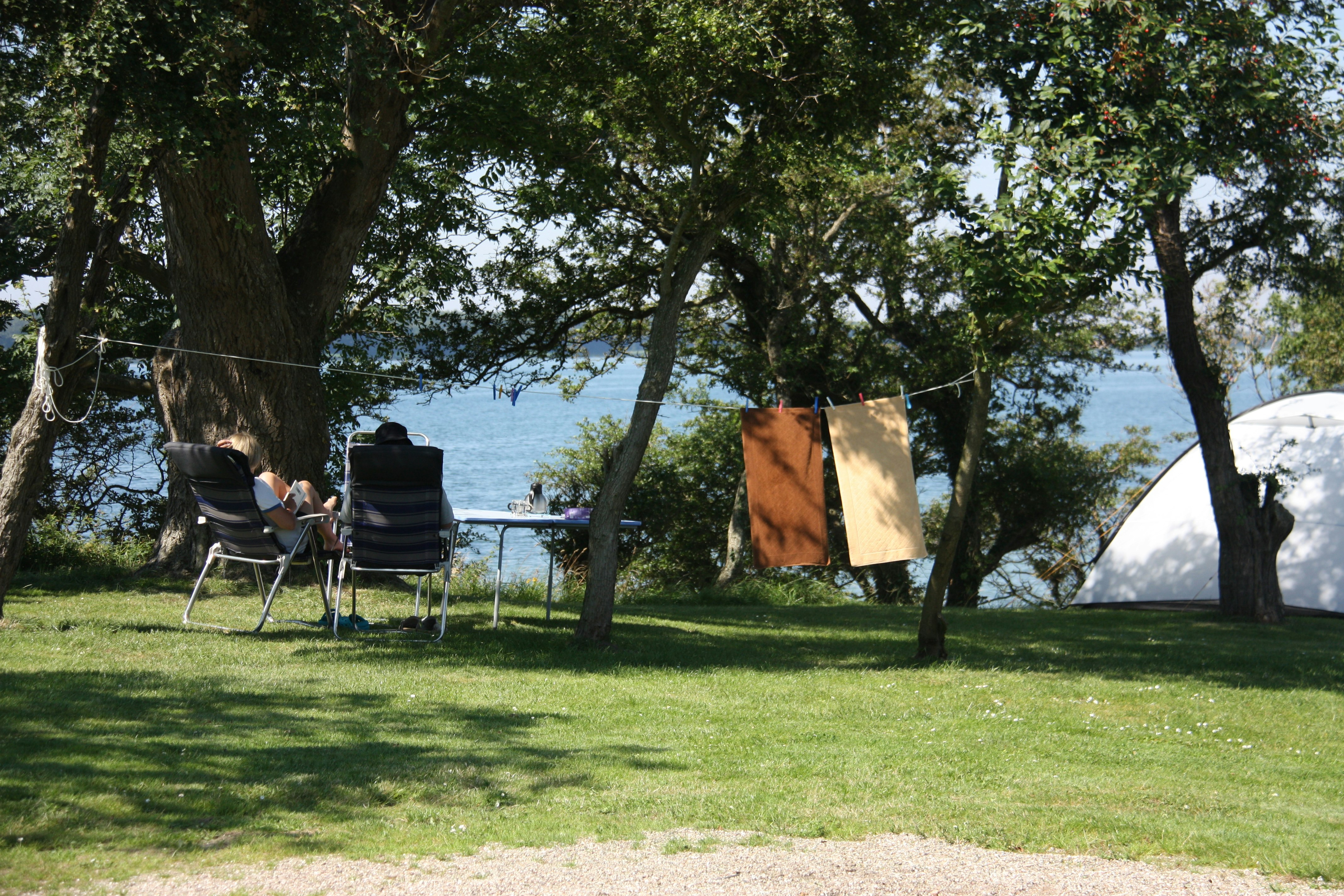 Campingplatz am See: Liegestühle und Tisch unter Bäumen, Wäscheleine mit Tüten, Zelt im Hintergrund.