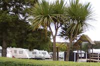 Roundwood Caravan & Camping Park  -  Wohnwagen- und Zeltstellplatz auf dem Campingplatz