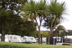 Roundwood Caravan & Camping Park - Wohnwagen- und Zeltstellplatz auf dem Campingplatz