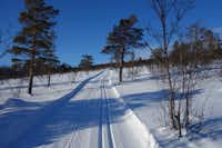 Røste Hyttetun & Camping - Skifahren als Freizeitaktivität