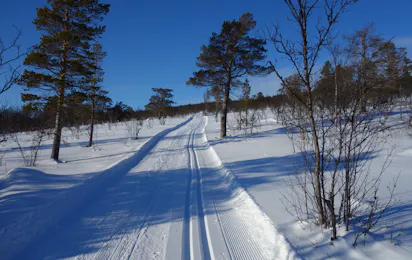 Røste Hyttetun & Camping