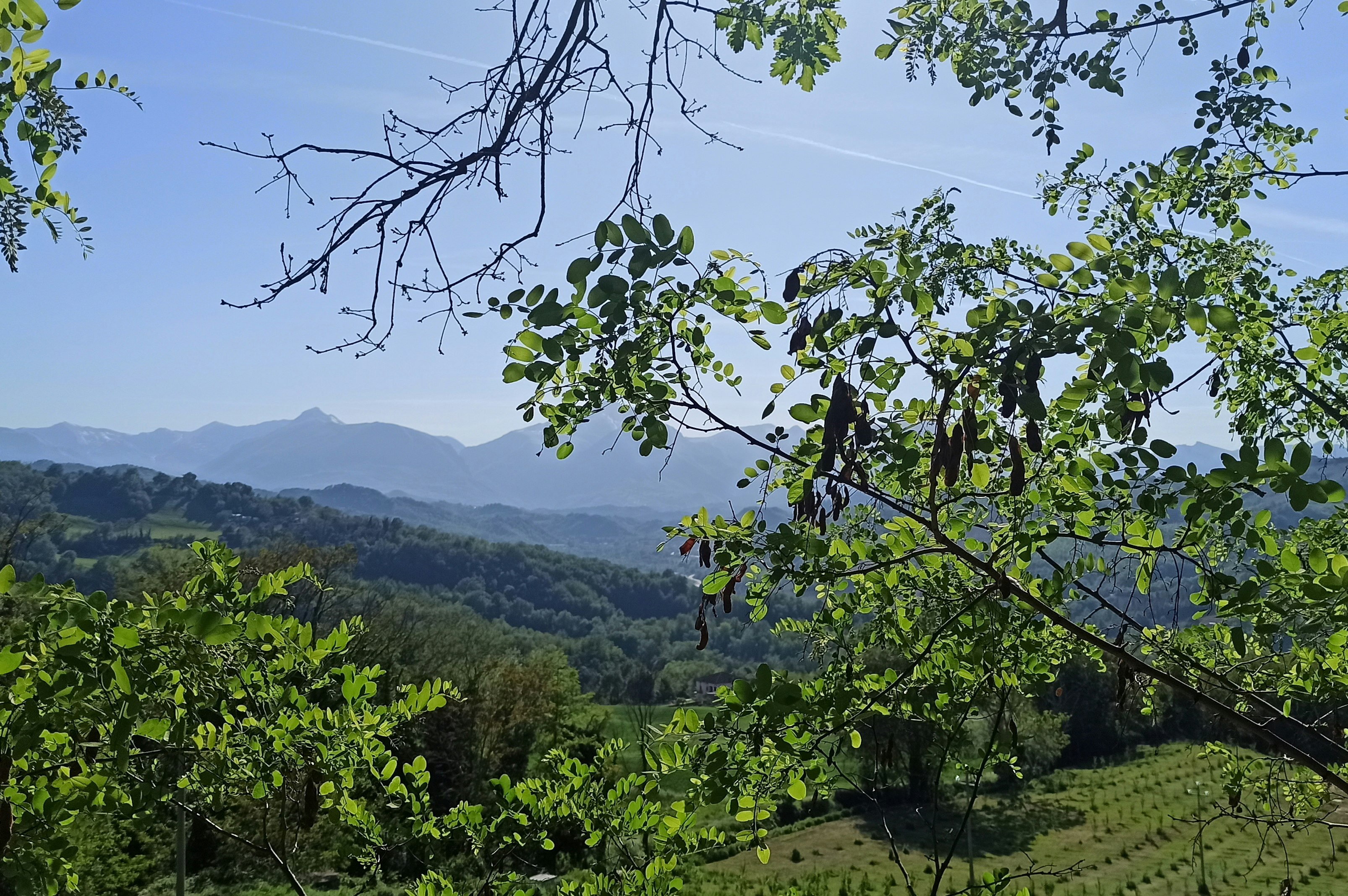Saecula Natural Village Experience