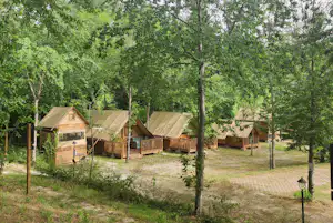 Zeltunterkünfte mit Holzterrassen im Grünen, umgeben von Bäumen und einem gepflasterten Weg auf dem Campingplatz.