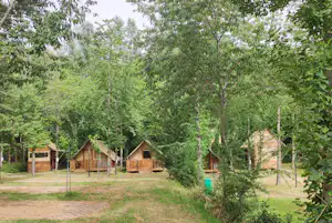 Campingunterkünfte mit Holzveranda zwischen vielen Bäumen im Grünen, im Vordergrund Rasen und ein Weg.