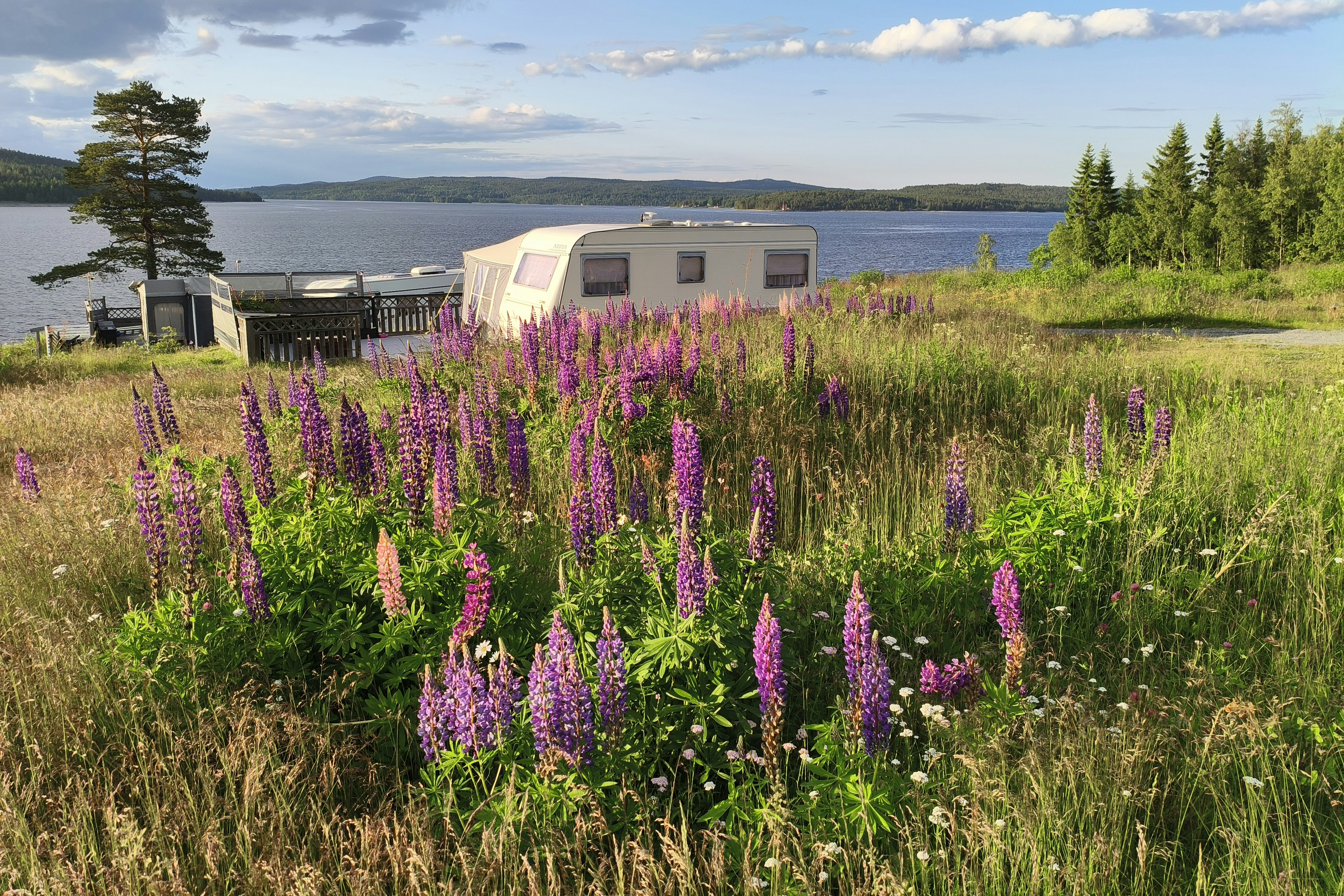 Camping Sälsten