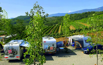 Saxida wine & camping resort