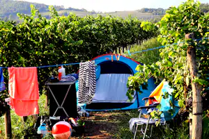 Saskida Camping Resort - Zeltplatz im Traubengarten auf dem Campingplatz