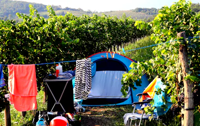 Saxida wine & camping resort