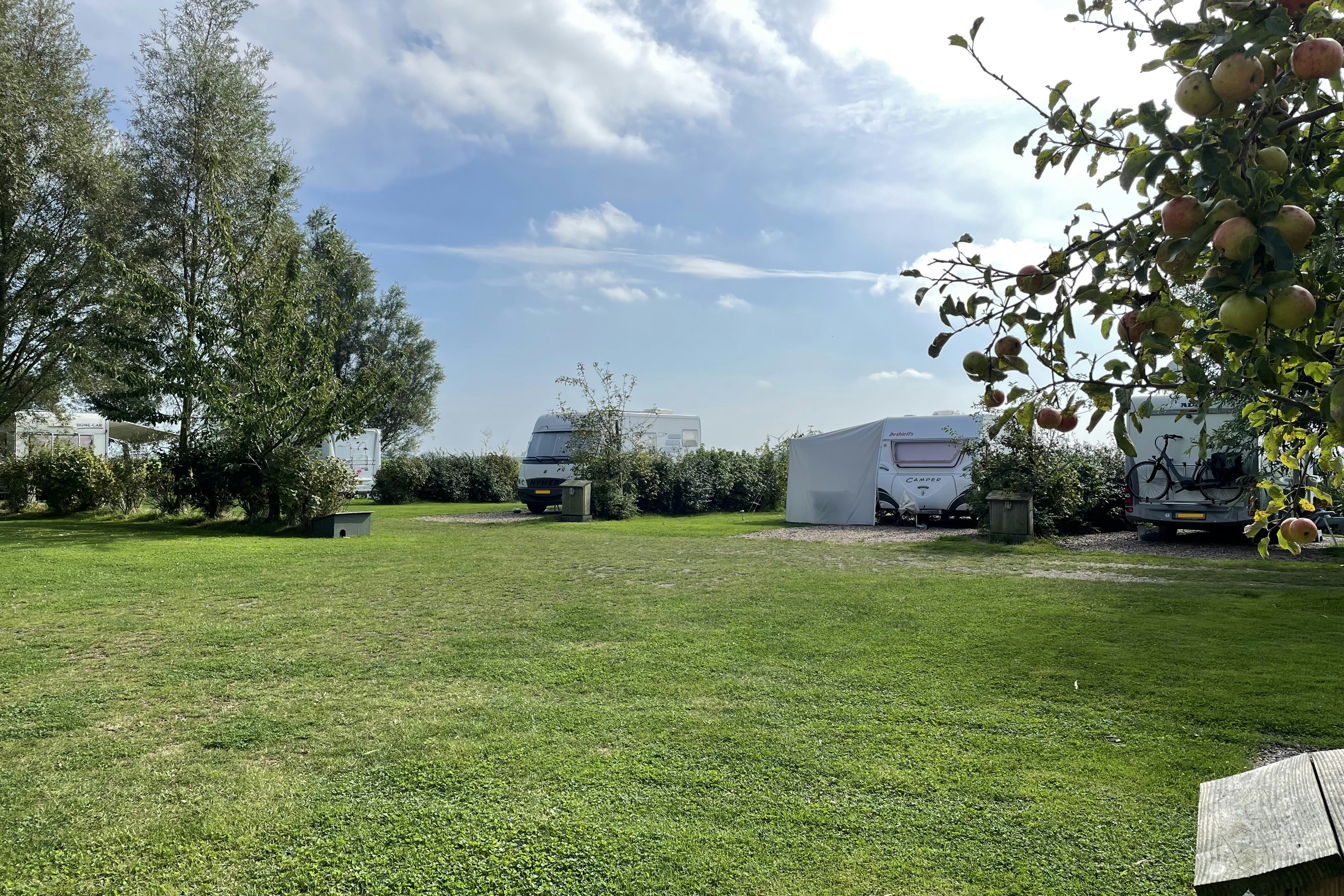 Salix camping en B&B - Blick auf die Standplätze auf der Wiese