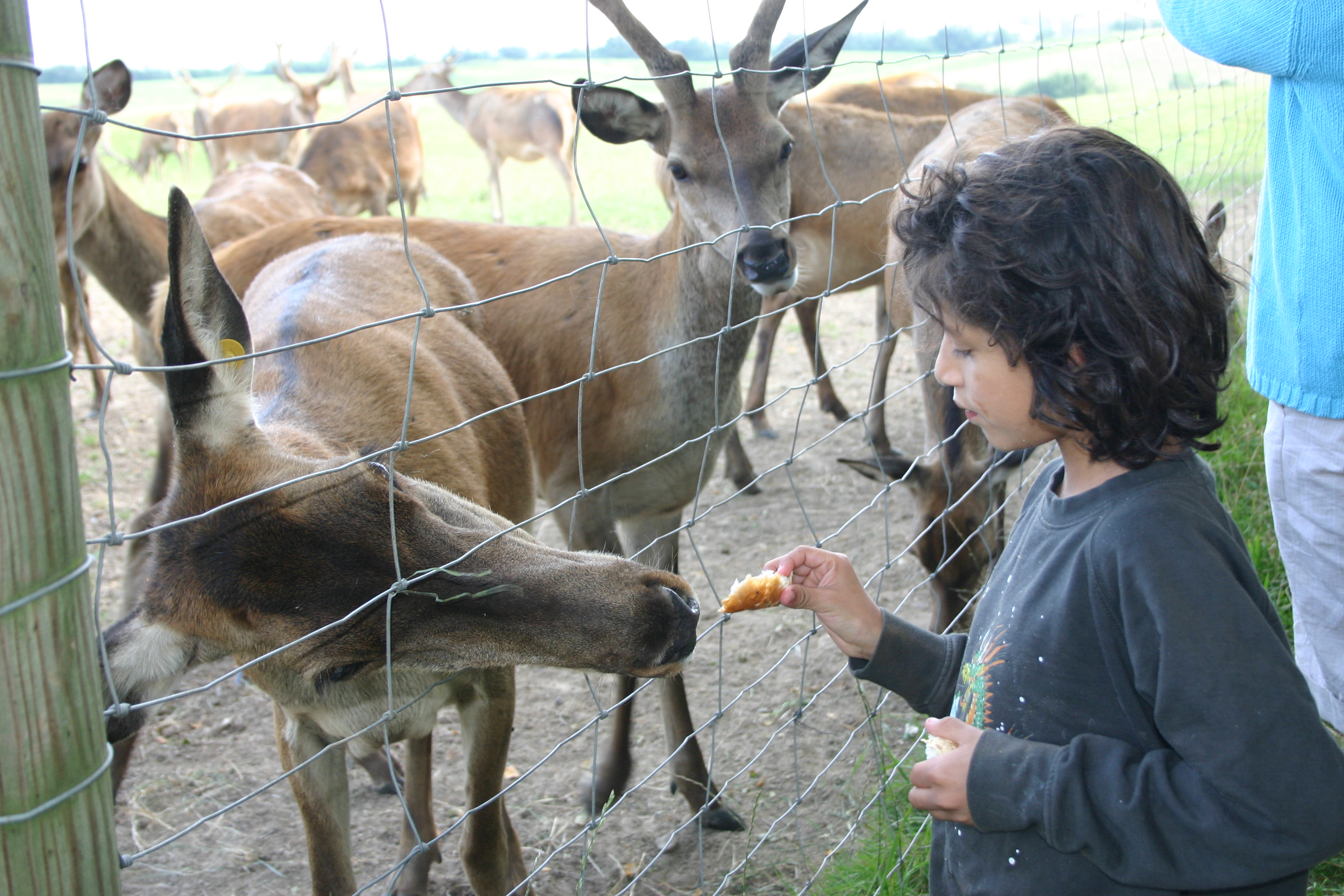 Sandersvig Camping en Tropenland