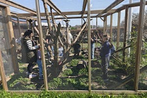 Sandersvig Camping en Tropenland - Tiergehege auf dem Campingplatz