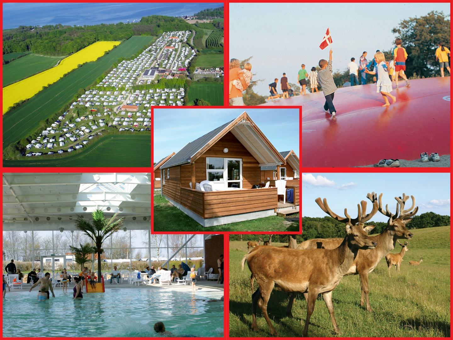 Sandersvig Camping en Tropenland