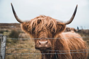 Sands Caravan & Camping Park