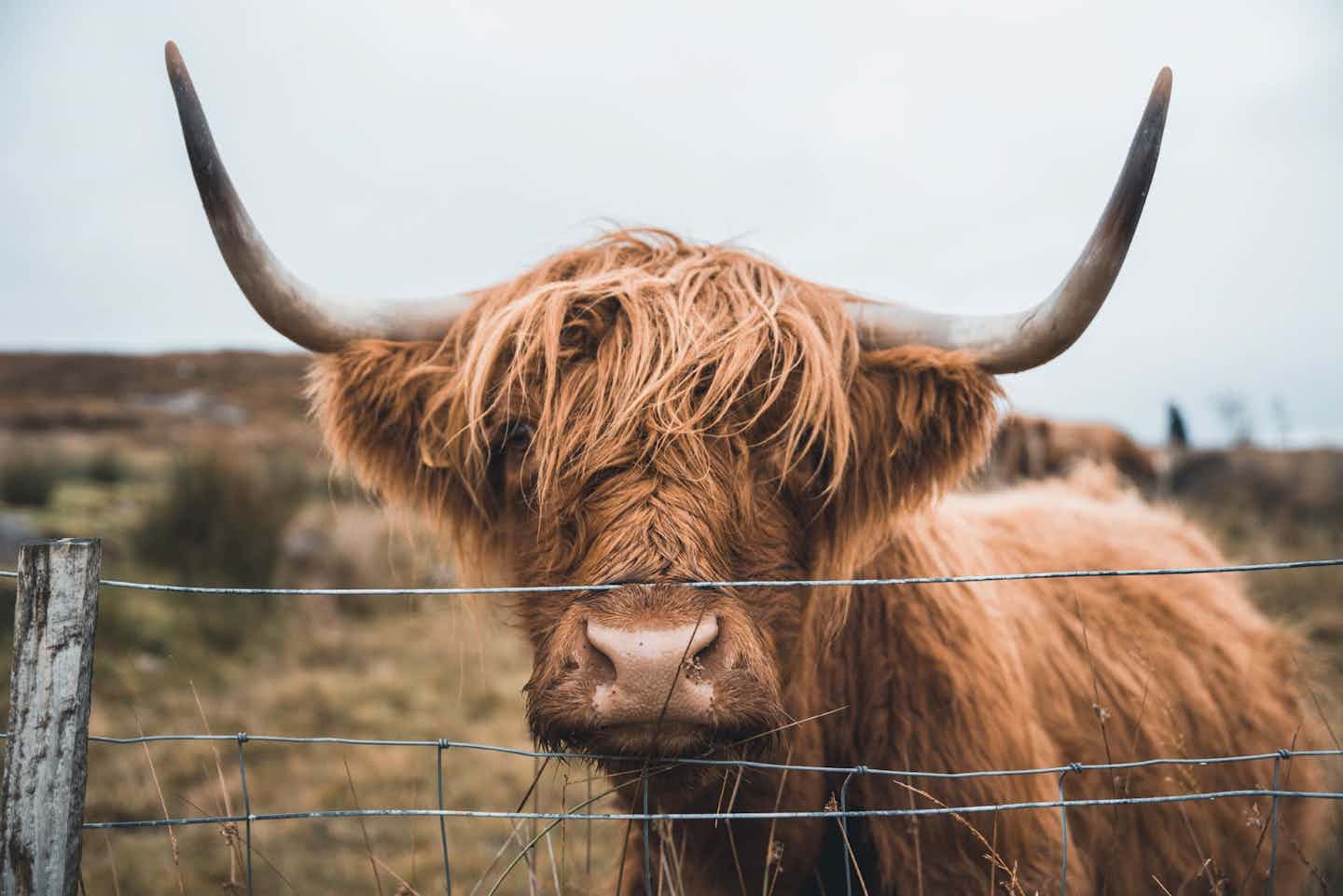 Sands Caravan & Camping Park