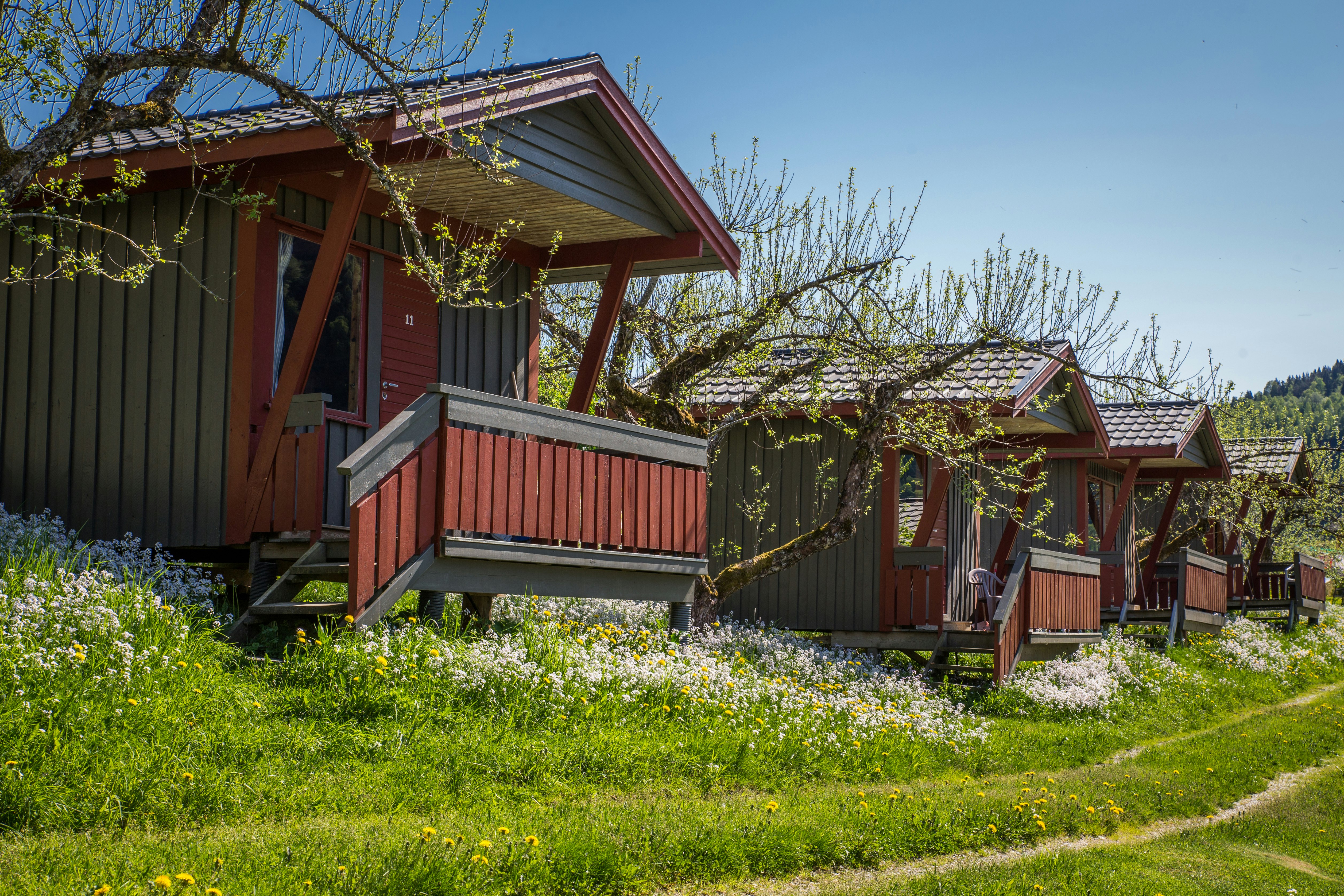 Rote Holz-Campinghütten mit Veranda und Treppe, umgeben von grünem Rasen, Blumen und Bäumen im Hintergrund.