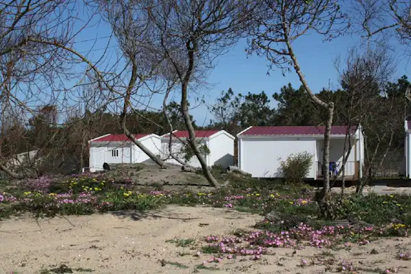 São Pedro de Moel