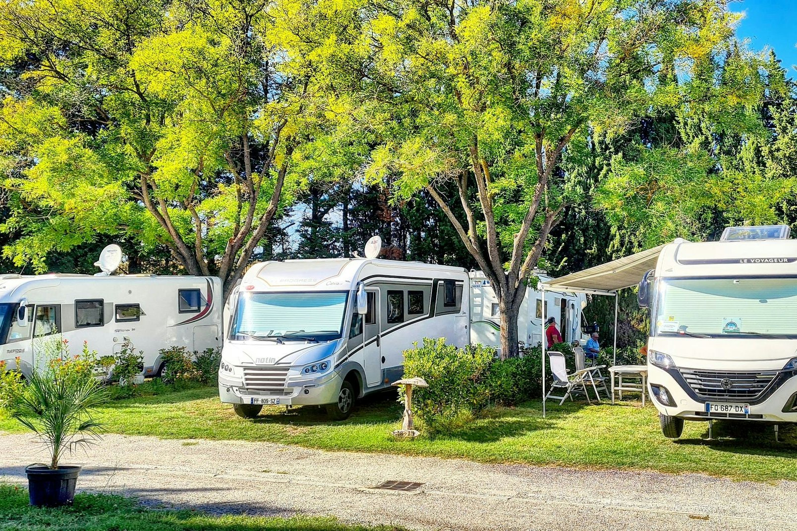 Camping Porte des Alpilles   SARL Camping Porte des Alpilles - Standplätze auf dem Campingplatz