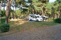 Camping Schervenzsee - Standplatz - 1.jpg