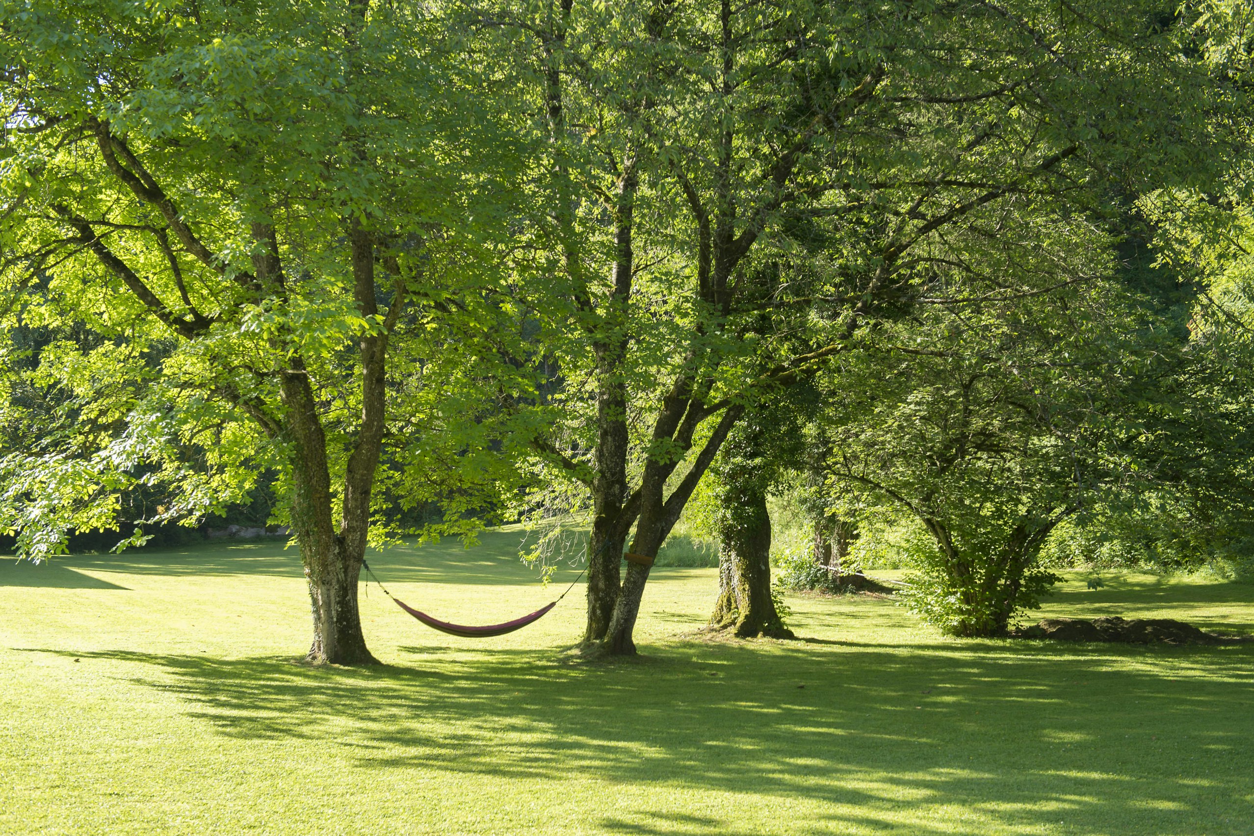 Schloss Ragaz - Blick auf eine Hängematte im Park