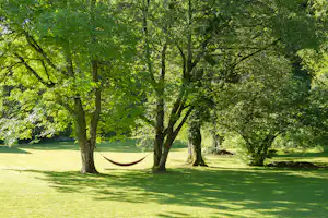 Grüner Campingplatz mit Rasenfläche und Hängematte zwischen großen Bäumen im Schatten.