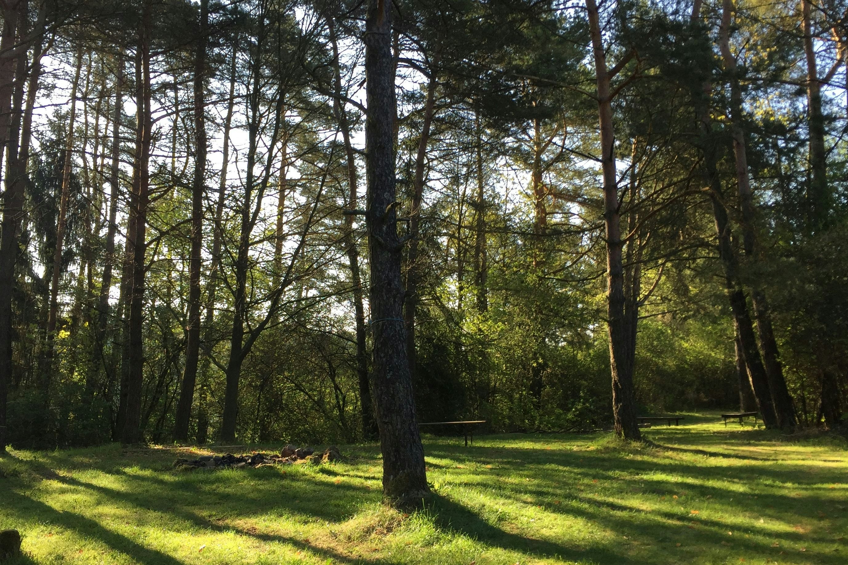 Schlosscamping Kleinziegenfeld - Campingplatz umgeben von Bäumen