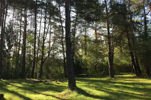 Schlosscamping Kleinziegenfeld - Campingplatz umgeben von Bäumen