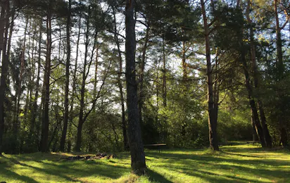 Schlosscamping Kleinziegenfeld