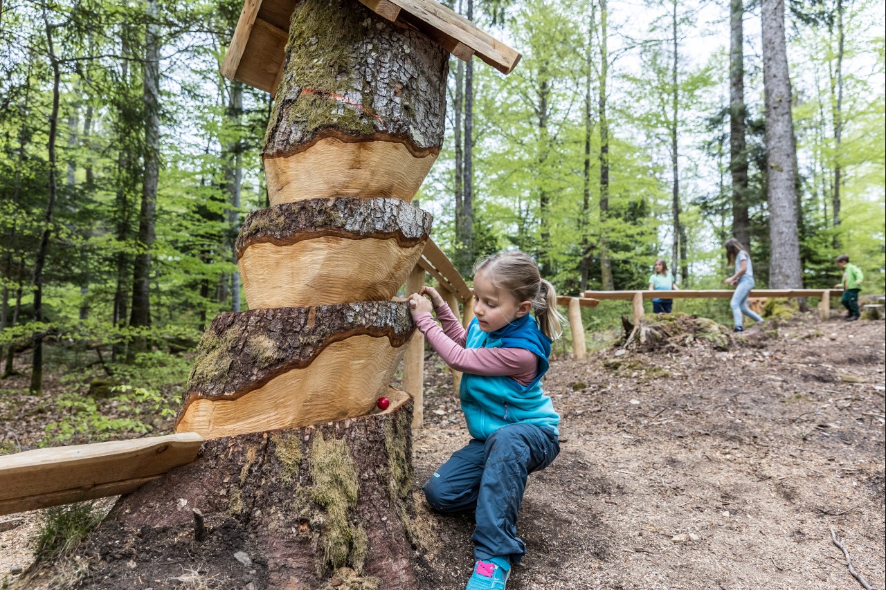 Waldcamping Birkendorf  Schlüchttal-Camping - Abenteuerpfad im Wald für Kinder