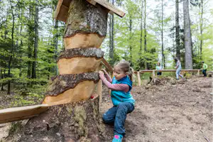 Waldcamping Birkendorf Schlüchttal-Camping - Abenteuerpfad im Wald für Kinder
