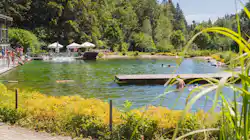 Waldcamping Birkendorf
