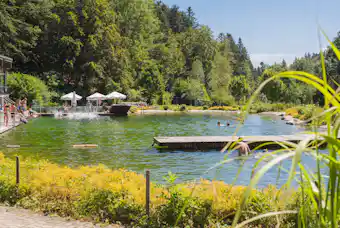 Waldcamping Birkendorf