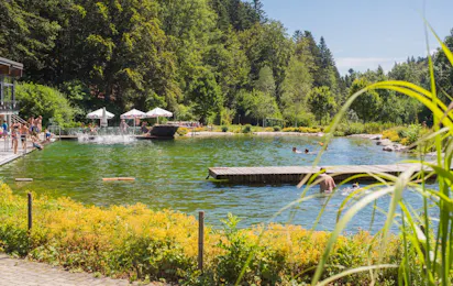 Waldcamping Birkendorf