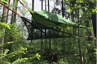 Schwarzwaldcamp - Baumzelte im grünen Wald