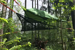 Grünes Zelt auf einer Metallkonstruktion zwischen Bäumen im Wald, umgeben von dichtem Grün und Pflanzen.