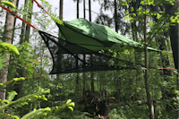 Schwarzwaldcamp - Baumzelte im grünen Wald