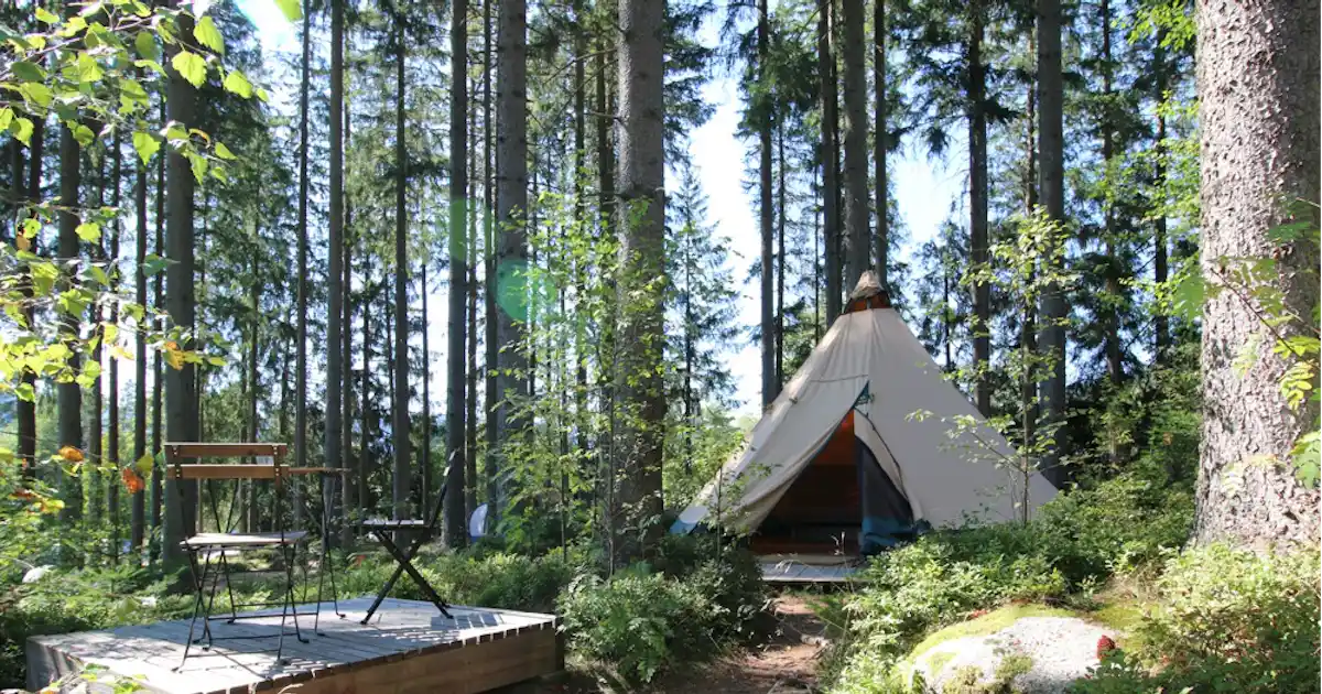 Schwarzwaldcamp photo 5
