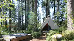 Schwarzwaldcamp
