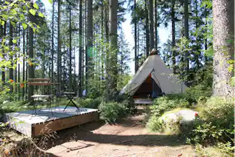 Schwarzwaldcamp