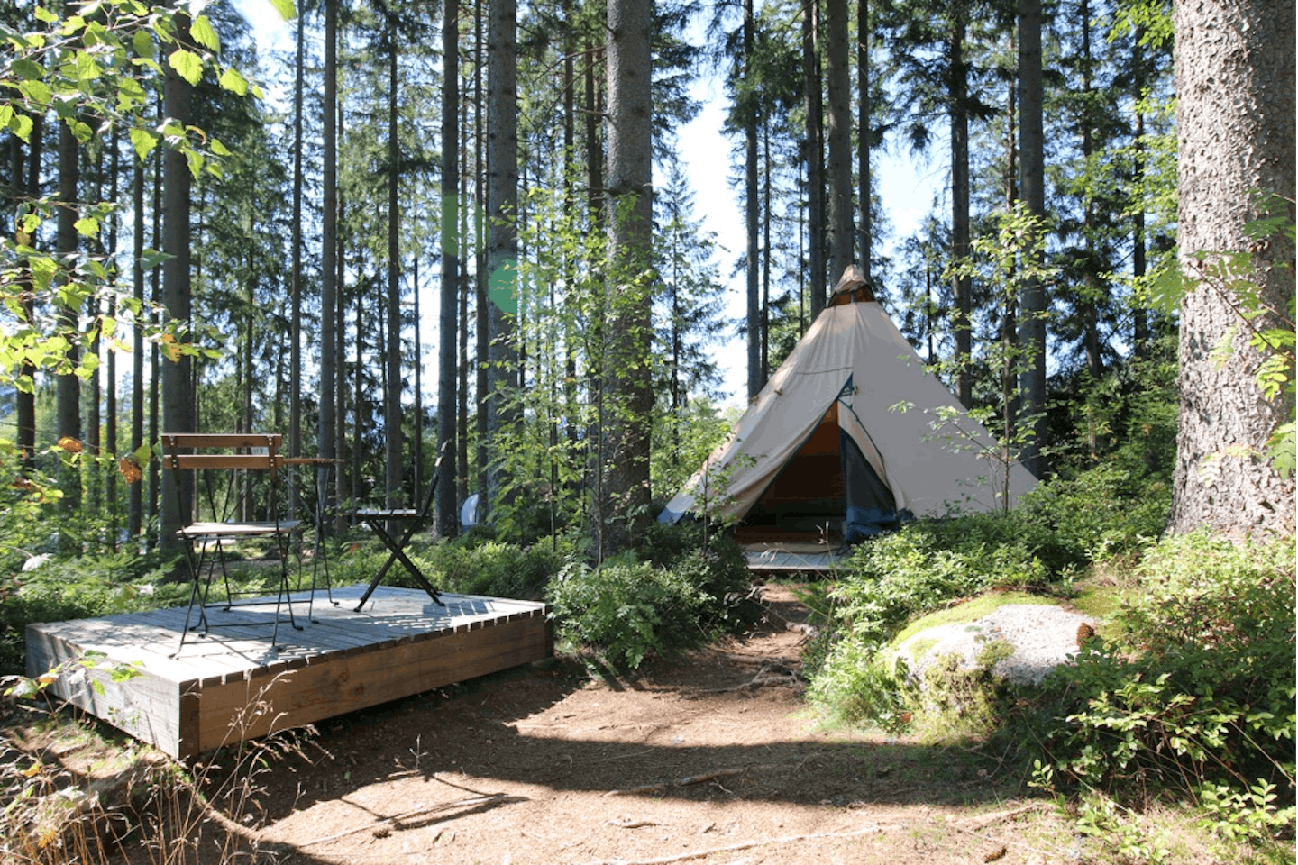 Schwarzwaldcamp - Tipi-Zelte im Schatten der Bäume