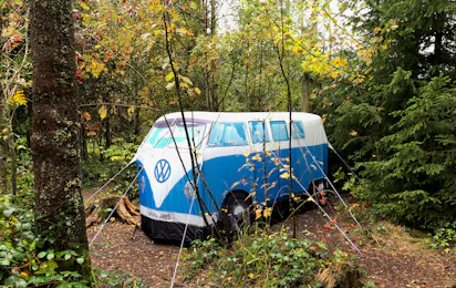 Schwarzwaldcamp
