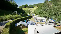 Schwarzwaldcamping Alisehof